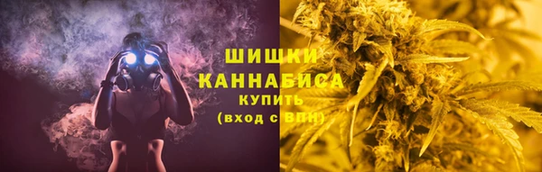 мдпв Ладушкин