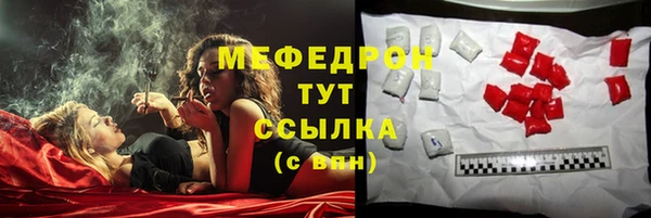 мдпв Ладушкин