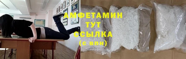 мдпв Ладушкин
