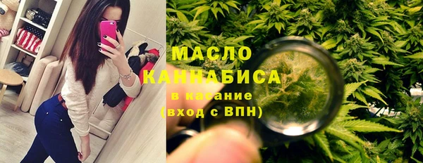 мдпв Ладушкин