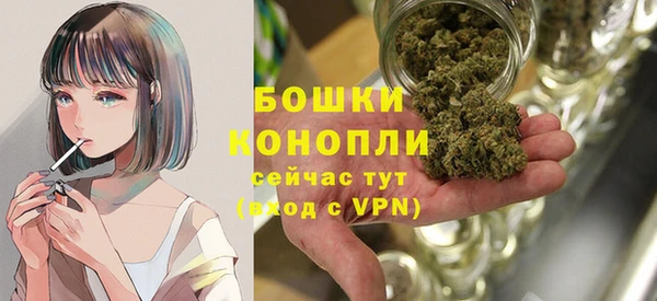 мдпв Ладушкин