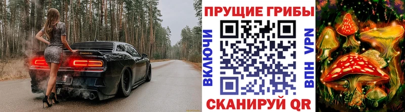Купить закладки  Томмот  Псилоцибиновые грибы GOLDEN TEACHER 
